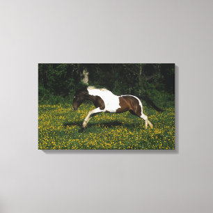 Toile Peignez le cheval fonctionnant dans le domaine des