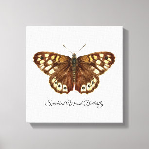 Toile Peinture à l'aquarelle de papillon en bois m