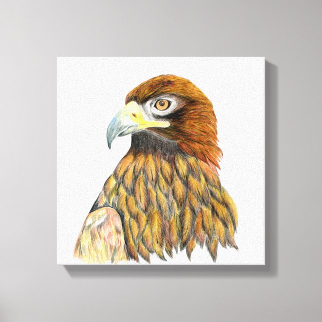 Toile Peinture d'aquarelle d'Aigle d'or (Recto)