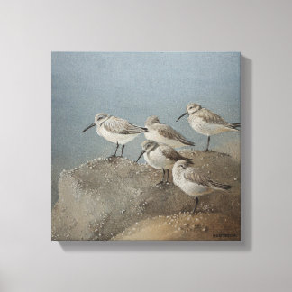 Toile Peinture de Ezartesa : Sanderlings au repos #2