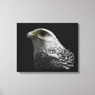 Toile Peinture de portrait de faucon arctique