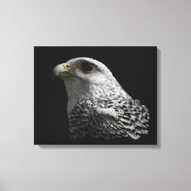 Toile Peinture de portrait de faucon arctique (Recto)
