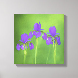 Toile Peinture Iris Violet - Art Fleur Originale