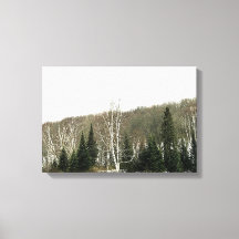 Peinture murale Neutre - Paysage hivernal