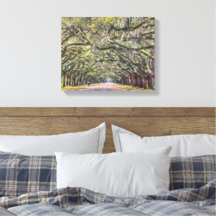 Toile Peinture murale Wormsloe Savannah Art 11x14