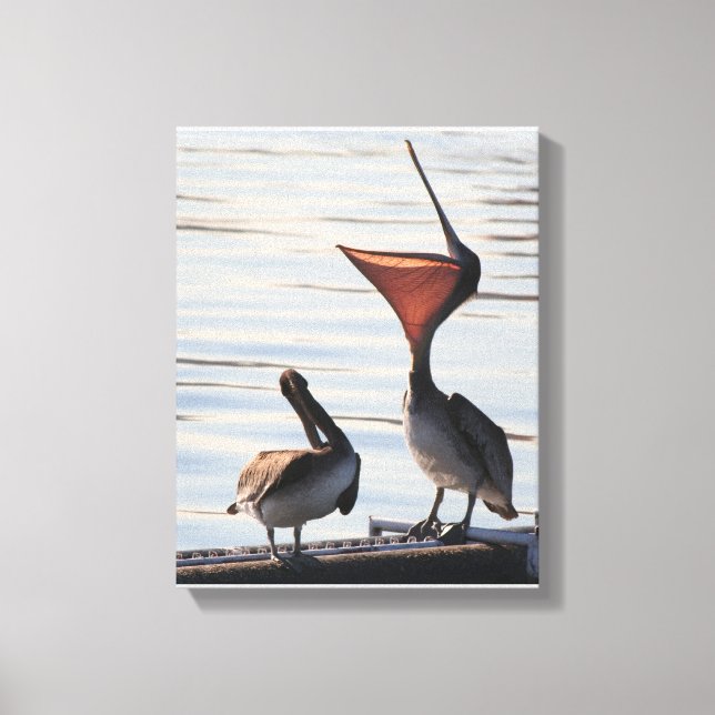 Toile Pelican Birds Animaux sauvages Plage (Recto)