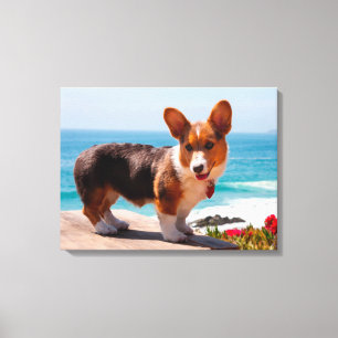 Toile Pembroke Welsh Corgi puppy standing on table