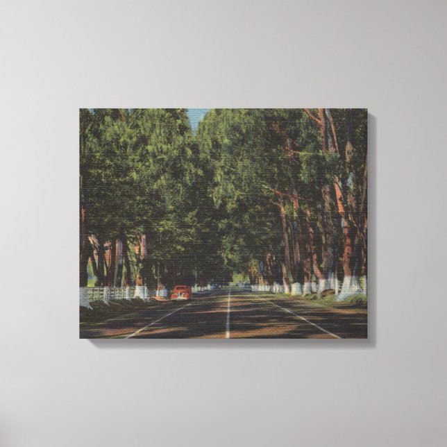 Toile Peninsula Highway US 101 El Camino Real View (Recto)