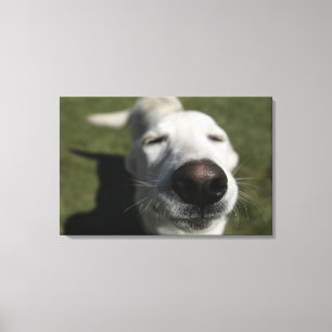 Toile Père Noël Fe, Nouveau-Mexique