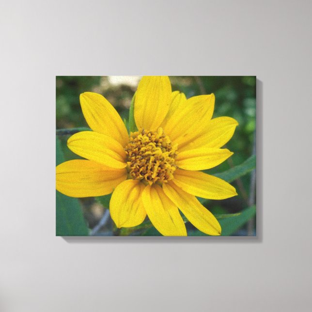 Toile Perfection florale en Jaune clair (Recto)