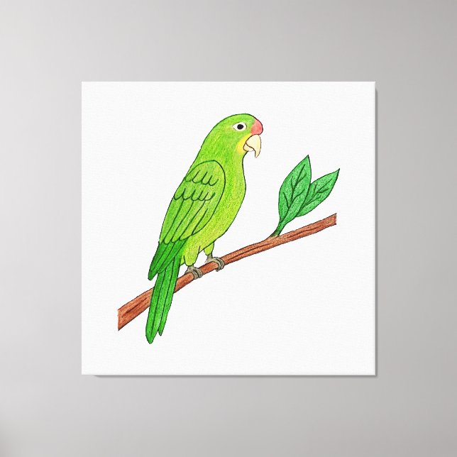 Toile Perico verde del trópico (Recto)