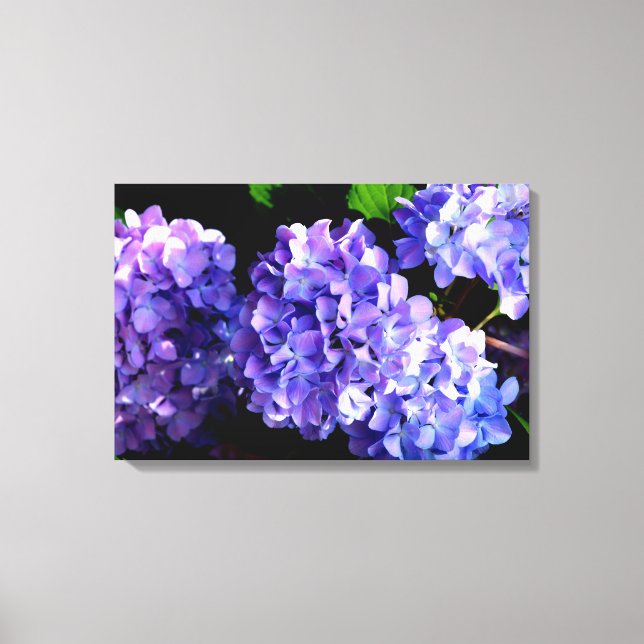 Toile Périwinkel hydrangeas violet bleu fleur floral (Recto)