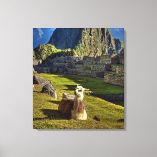 Toile Pérou, Andes, montagnes des Andes, Machu Picchu,