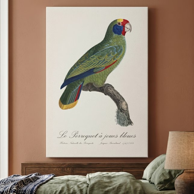 Toile Perroquet à queue rouge, Amazona Brasiliensis (Red-Tailed Parrot Amazon, Amazona Brasiliensis. Canvas Print)