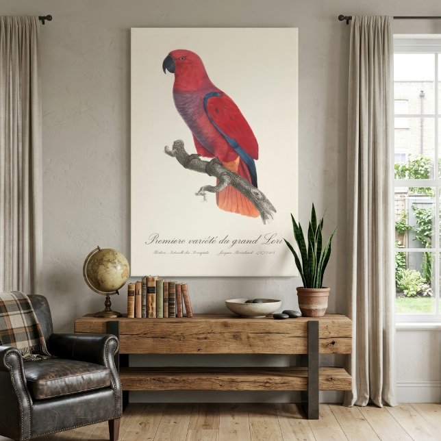 Toile Perroquet Eclectus de Vosmaer, Eclectus Roratus Vo (Vosmaer Eclectus Parrot, Eclectus Roratus Vosmaeri. Canvas Print)