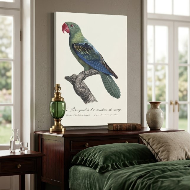 Toile Perruche à gros bec, Tanygnathus megalorynchos (Great-Billed Parrot, Tanygnathus Megalorynchos. Canvas Print)