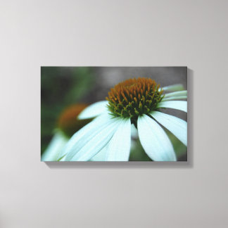 Toile Pétales blancs, Fleur (impression de toile)