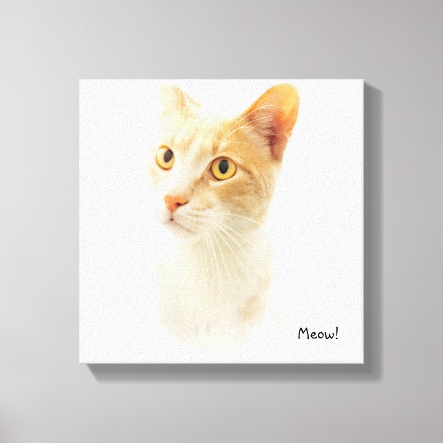 Toile Petit Chat Blondie Se Demandant (Recto)