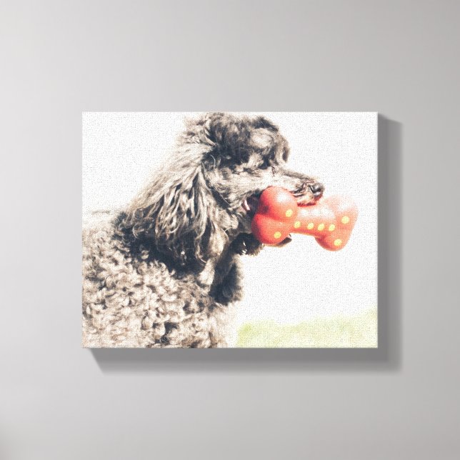 Toile Petit Chien De Poodle Avec Un Os De Jouet (Recto)