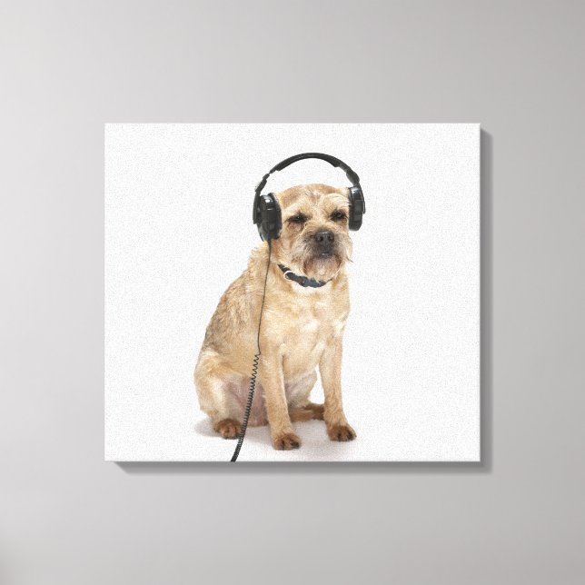 Toile Petit chien portant un casque (Recto)