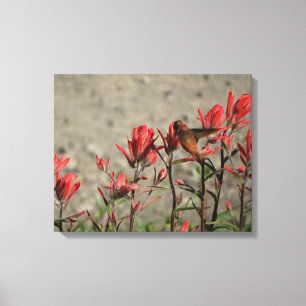 Toile petit colibri
