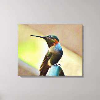 Toile petit colibri