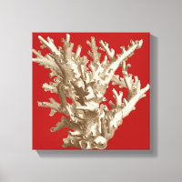 Petit corail en rouge