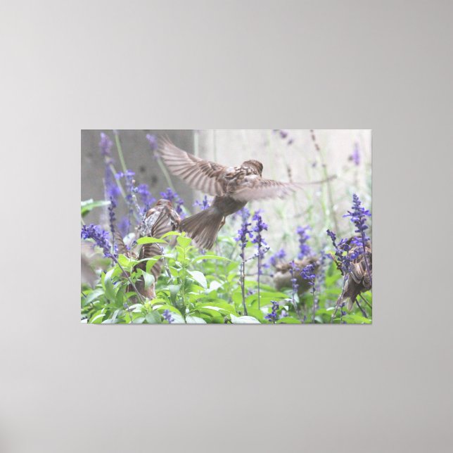Toile Petit Oiseau En Lavande (Recto)