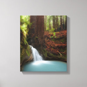 Toile Petite cascade de forêt