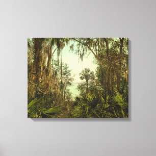 Toile Photo 1898 de la Floride de rivière de St Johns