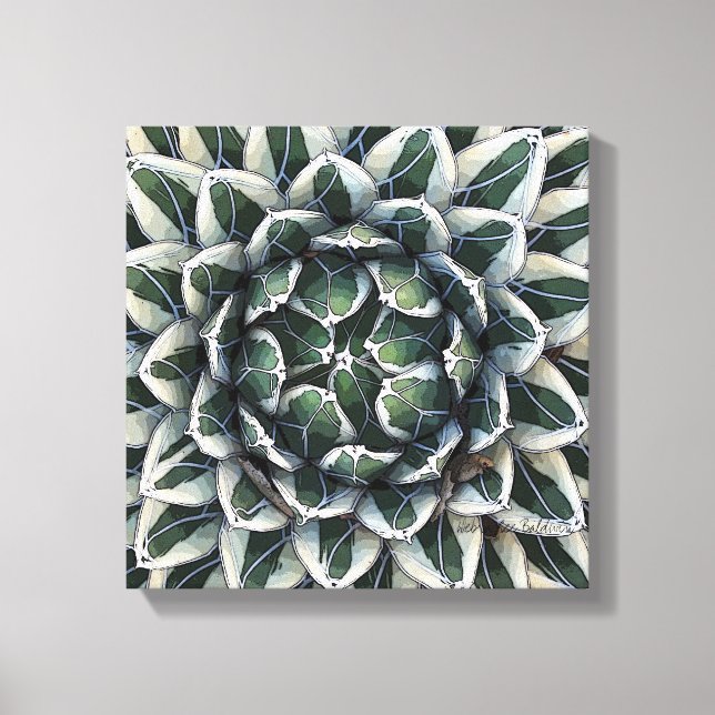 Toile Photo Agave victoria-reginae par Debra Lee Baldwin (Recto)