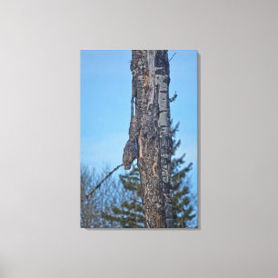 Toile Photo Camouflée de la grande chouette grise et de 