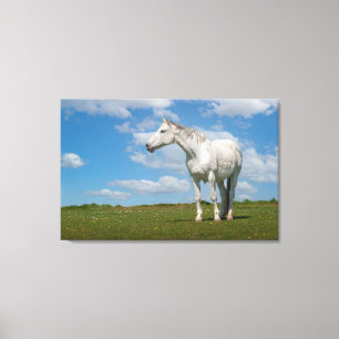 Toile photo Cheval Blanc