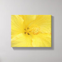Photo d'art fine d'Hibiscus jaune hawaïen