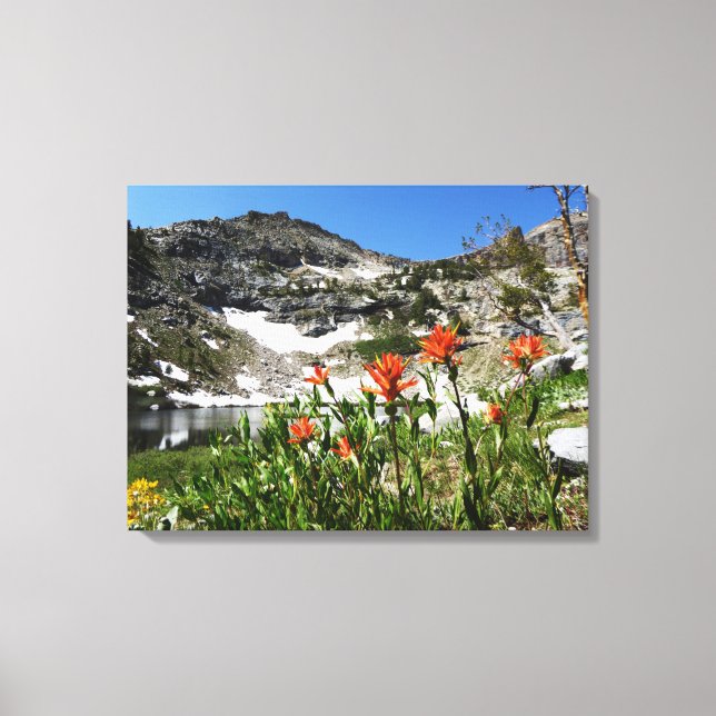 Toile Photo d'art, Montagnes Lake Fleurs sauvages, Nevad (Recto)