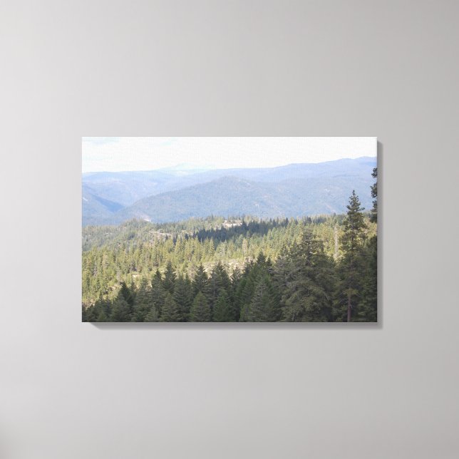Toile photo de California Pine Trees (Recto)