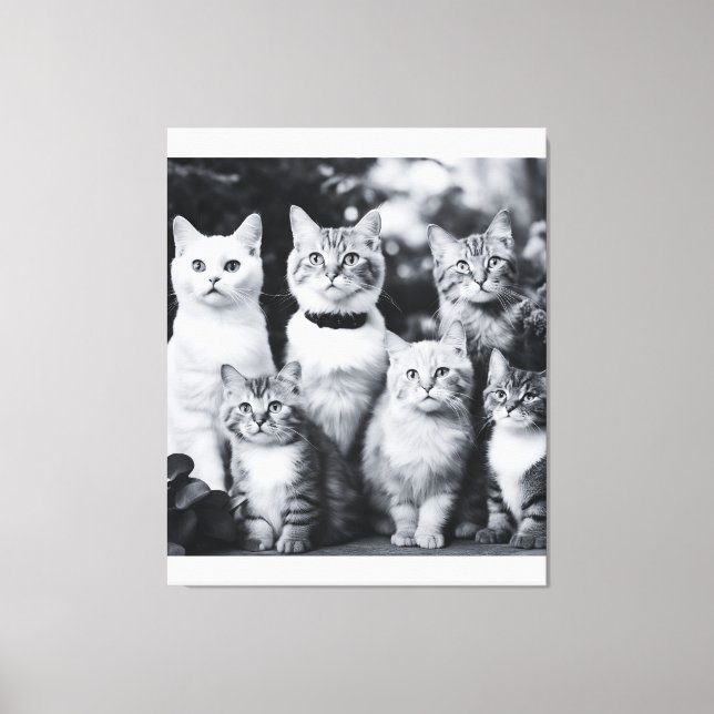 Toile Photo de chat noir et blanc (Recto)