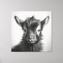 Photo de chèvre mignonne noire et blanche