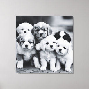 Toile Photo de Chien noir et blanc