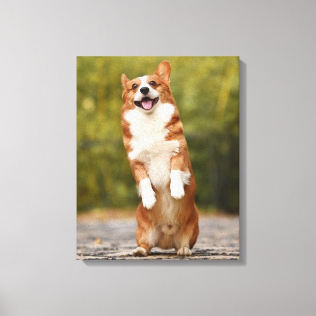 Toile Photo de chiot corgi heureux debout (Recto)