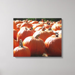 Toile Photo de citrouilles pour l'automne, Halloween ou