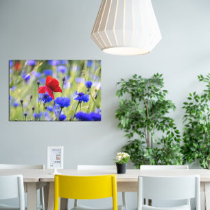 Toile Photo de coquelicots rouges sauvages