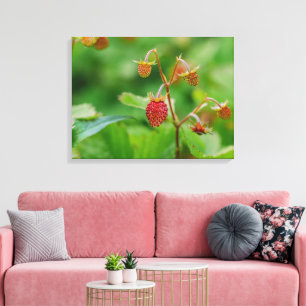 Toile Photo de fraise des bois rouge poussant dans un ja
