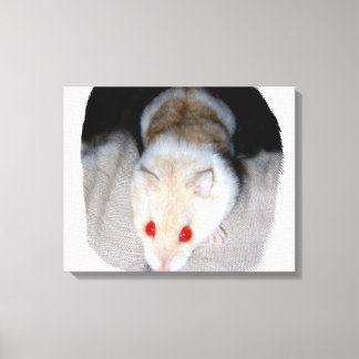 Toile Photo de hamster albinos blanc et blonde