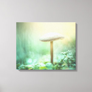 Toile Photo de la nature des champignons enchantés