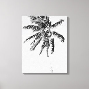 Toile Photo de palmier noir et blanc