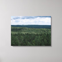 Photo de paysage naturel de forêt et de nuages aér