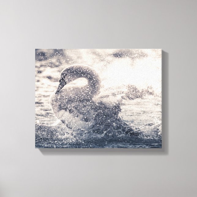 Toile Photo de Swan Nature (Recto)