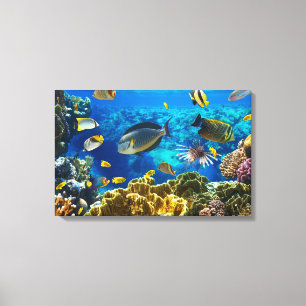 Toile Photo d'un poisson tropical sur une barrière de co