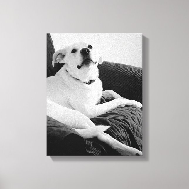 Toile Photo en noir et blanc de Talking Dog Print (Recto)